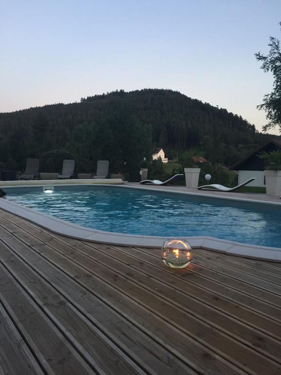 Maison La Deviniere - Sauna Et Spa Compris Accessibles Toute L'Annee Xonrupt-Longemer Kültér fotó