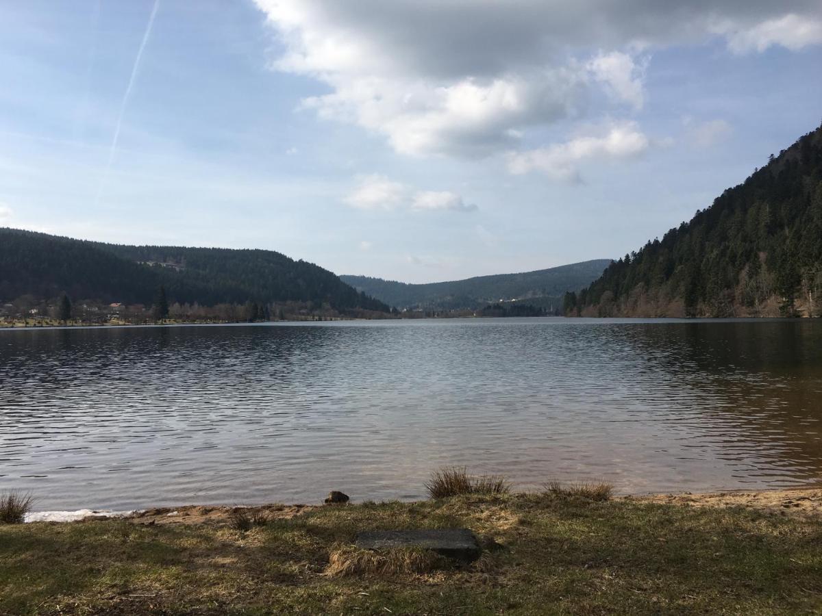 Maison La Deviniere - Sauna Et Spa Compris Accessibles Toute L'Annee Xonrupt-Longemer Kültér fotó